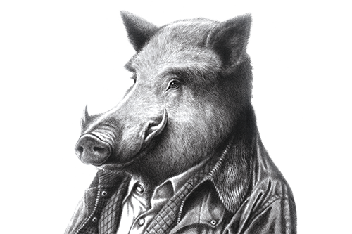 Wild Boar Estate